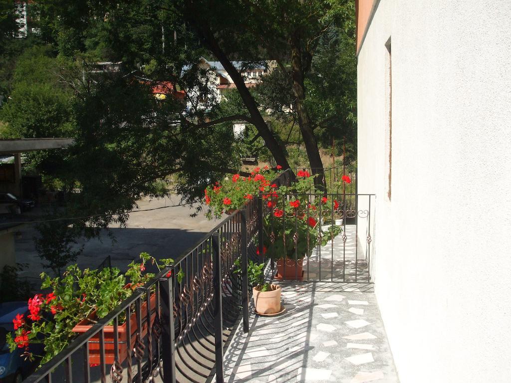 Vila Ana-Maria Sinaia Phòng bức ảnh