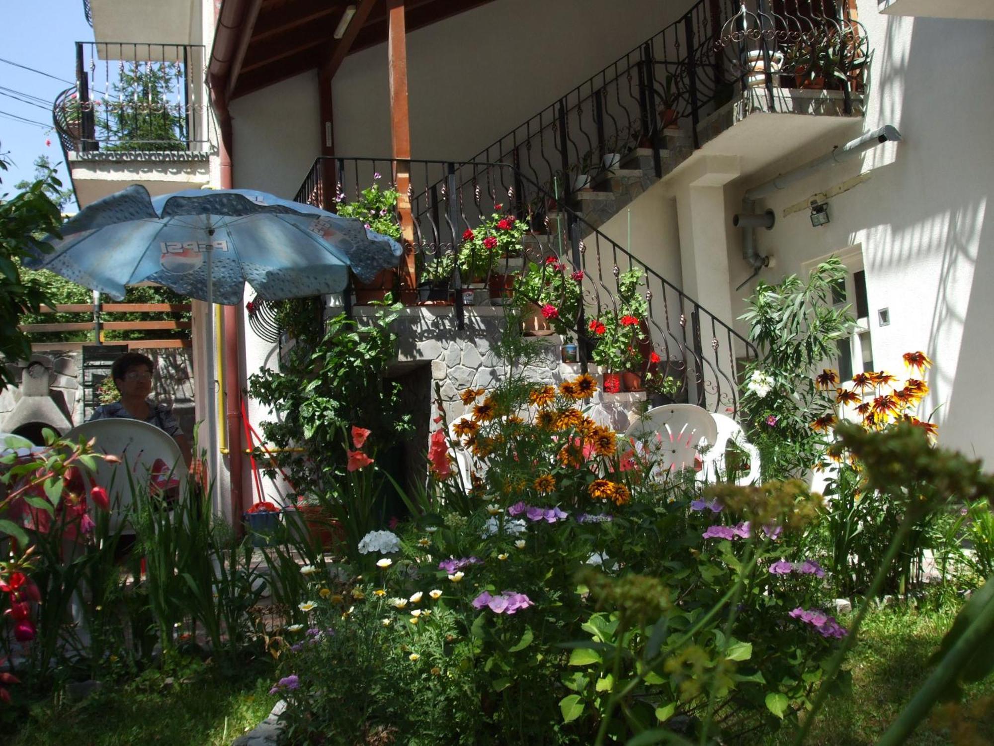 Vila Ana-Maria Sinaia Ngoại thất bức ảnh