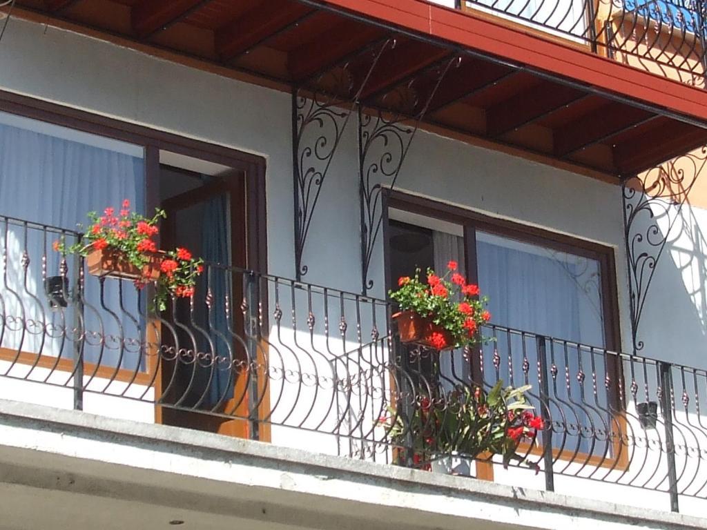 Vila Ana-Maria Sinaia Ngoại thất bức ảnh